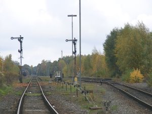 a_sulingerbf01