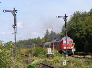 a_sulingerbf02