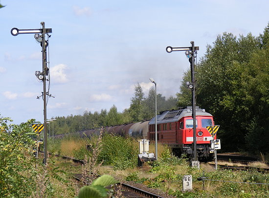 Sulingen 008 Sulingen 008