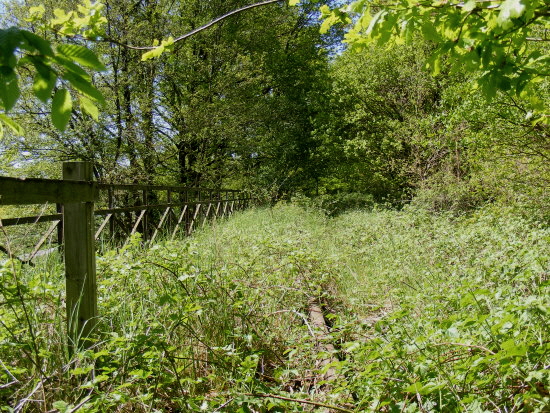 a_bahndamm219a a_bahndamm219a