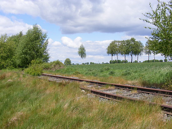 a_wedehorn a_wedehorn